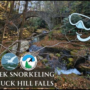 Creek Snorkeling at Buck Hill Falls