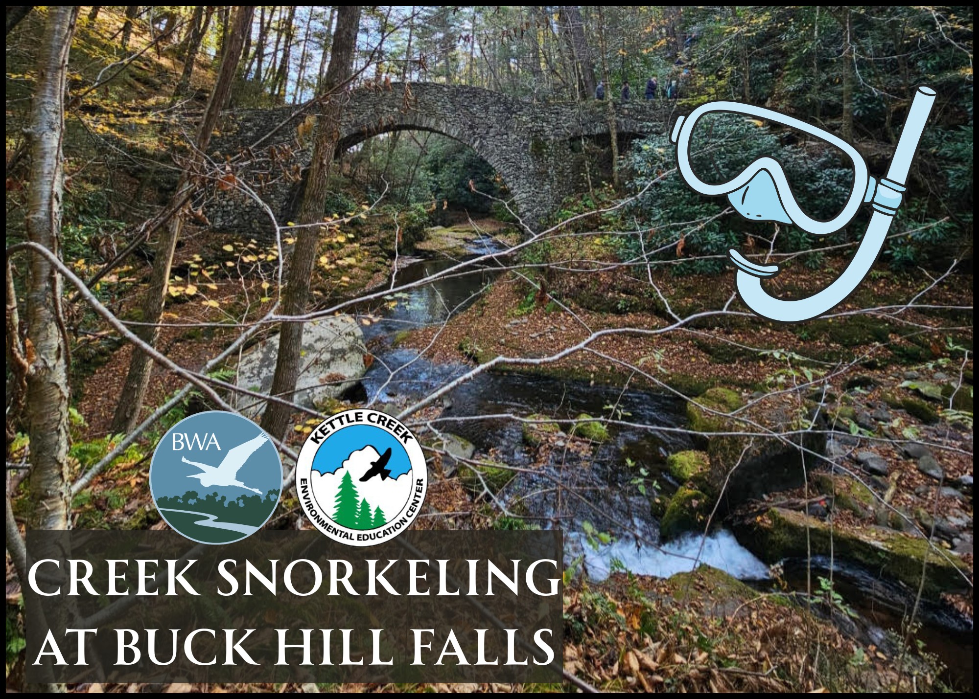 Creek Snorkeling at Buck Hill Falls